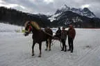 Traditionelles Norikerfahren mit Siegerpferd Pilar des Sebastian Mayr mit Preisspenderin Margit Klausner ( Firma Furthersäge Klausner )